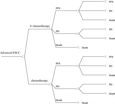 Cost-effectiveness of analysis serplulimab plus chemotherapy as first-line therapy for PD-L1-positive advanced esophageal squamous cell carcinoma